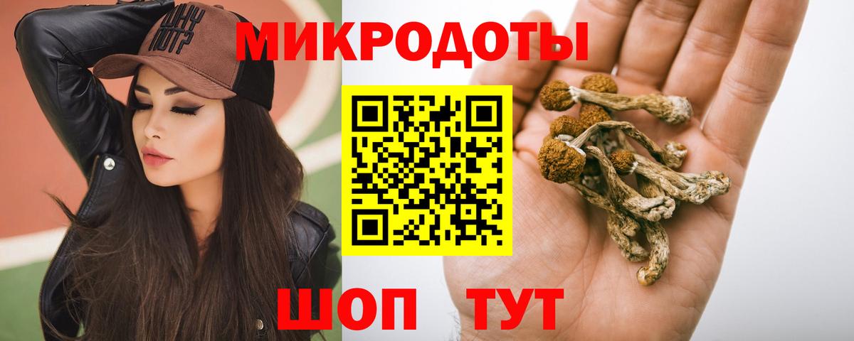 Галлюциногенные грибы GOLDEN TEACHER  Вход с VPN  Зима 
