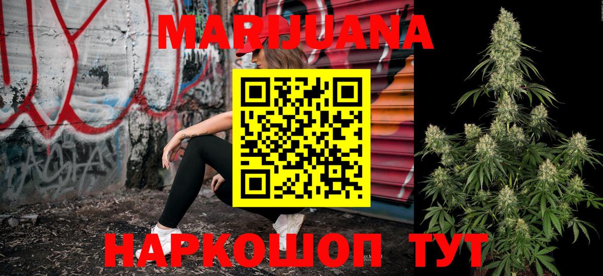 Канабис SATIVA & INDICA Зима